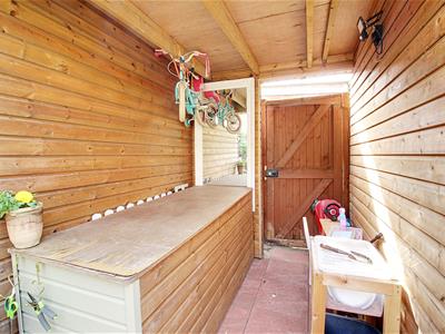Picture 21